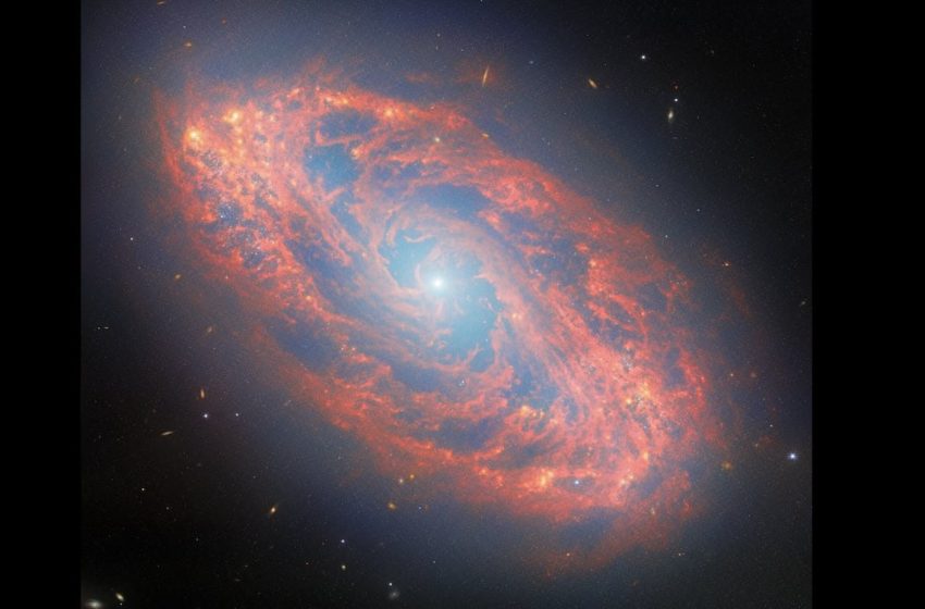  Jaw-Dropping Image of Spiral Galaxy Captured Light Traveling Since the T. Rex Era–Thanks to Webb Telescope