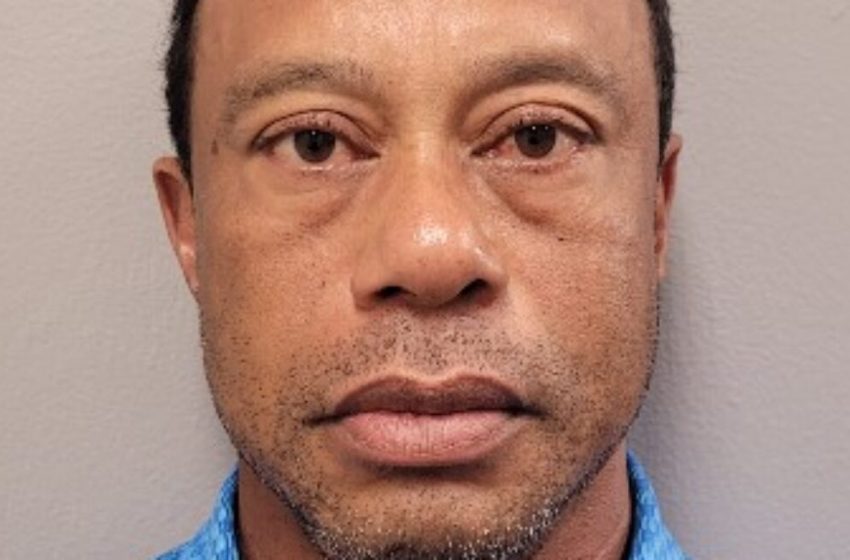  Sweaty, glassy-eyed Tiger Woods blames cell phone use for his car crash