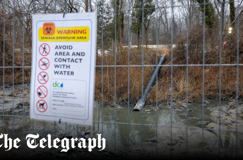  Sewage-filled Potomac river risks ruining America’s birthday