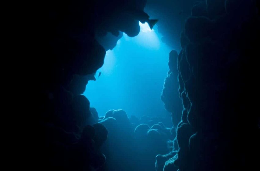  The Atlantic Ocean Is Hiding a 500-Kilometer Canyon, Scientists May Have Finally Found What Created It