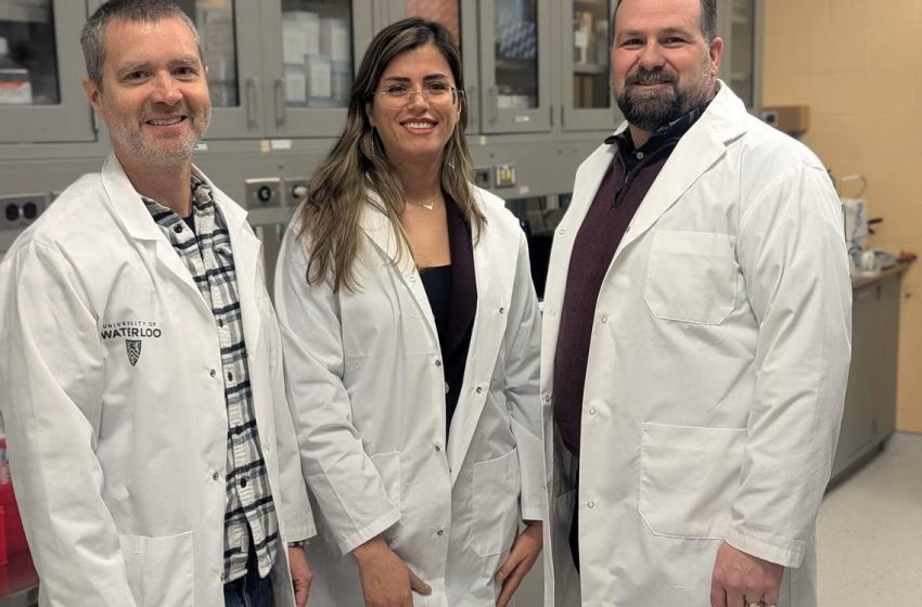  Researchers Train Bacteria to Consume Tumors from the Inside Out