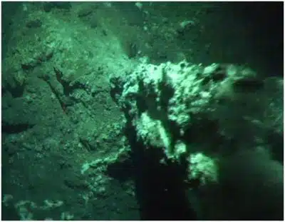 The Image Illustrates The Small Relict Chimney Discovered On The Seafloor Of Hook Ridge