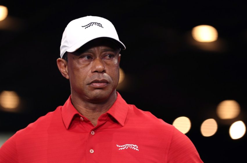  Tiger Woods Mugshot Released By Police After DUI Arrest; Golfer Out Of Jail