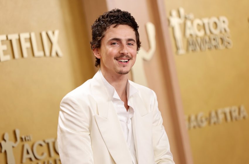  Timothée Chalamet Faces Backlash From Opera Community