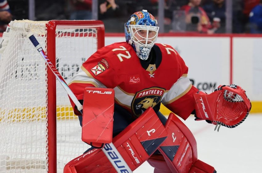  Top 2 Teams Projected To Land Sergei Bobrovsky