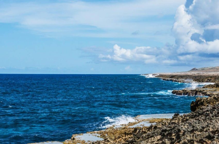  Tracked by Sound for Years, This Mysterious Deep-Sea Whale Was Finally Seen Alive