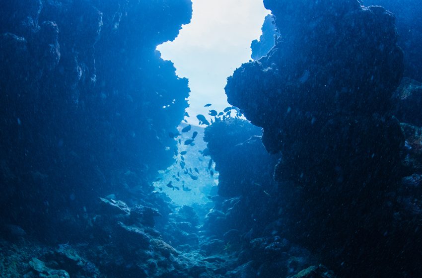  We Finally Know What Tore a 500-Km ‘Grand Canyon’ Into The Atlantic Seafloor : ScienceAlert