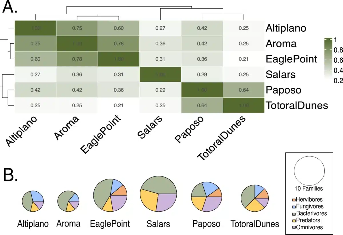 Variation In Feeding Type Diversity And Community Composition Similarity Across Six Sampling Sites.