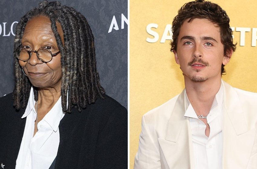  Timothee Chalamet Slammed as ‘Shallow’ on The View After Dissing Opera