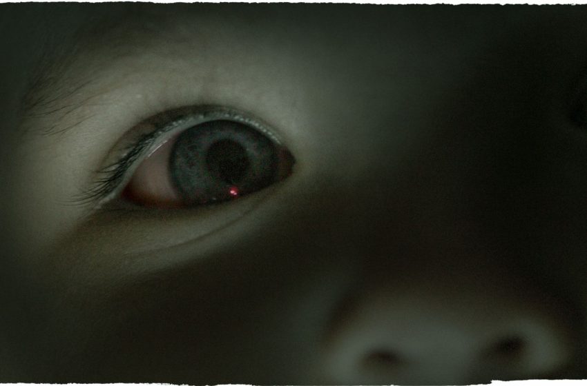  Pig semen molecule could deliver chemotherapy to hard-to-reach eye cancer, mouse study suggests