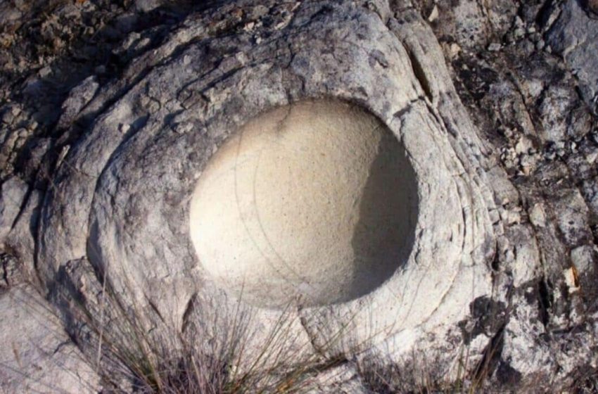  Scientists Uncover a 68-Million-Year-Old Dinosaur Egg Inside Another Egg