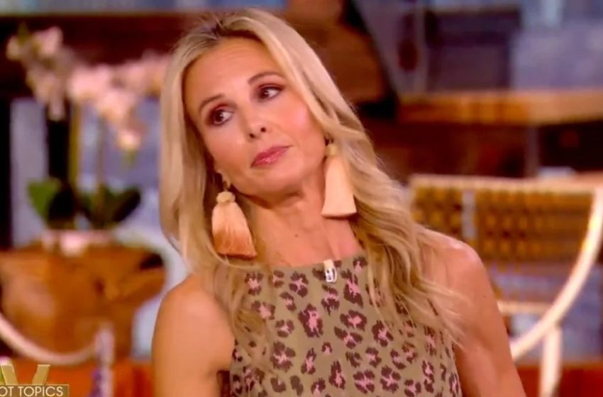  ‘The View’ Audience Audibly Protests When Guest Host Elisabeth Hasselbeck Blames Disapproval of ICE on the Media | Video