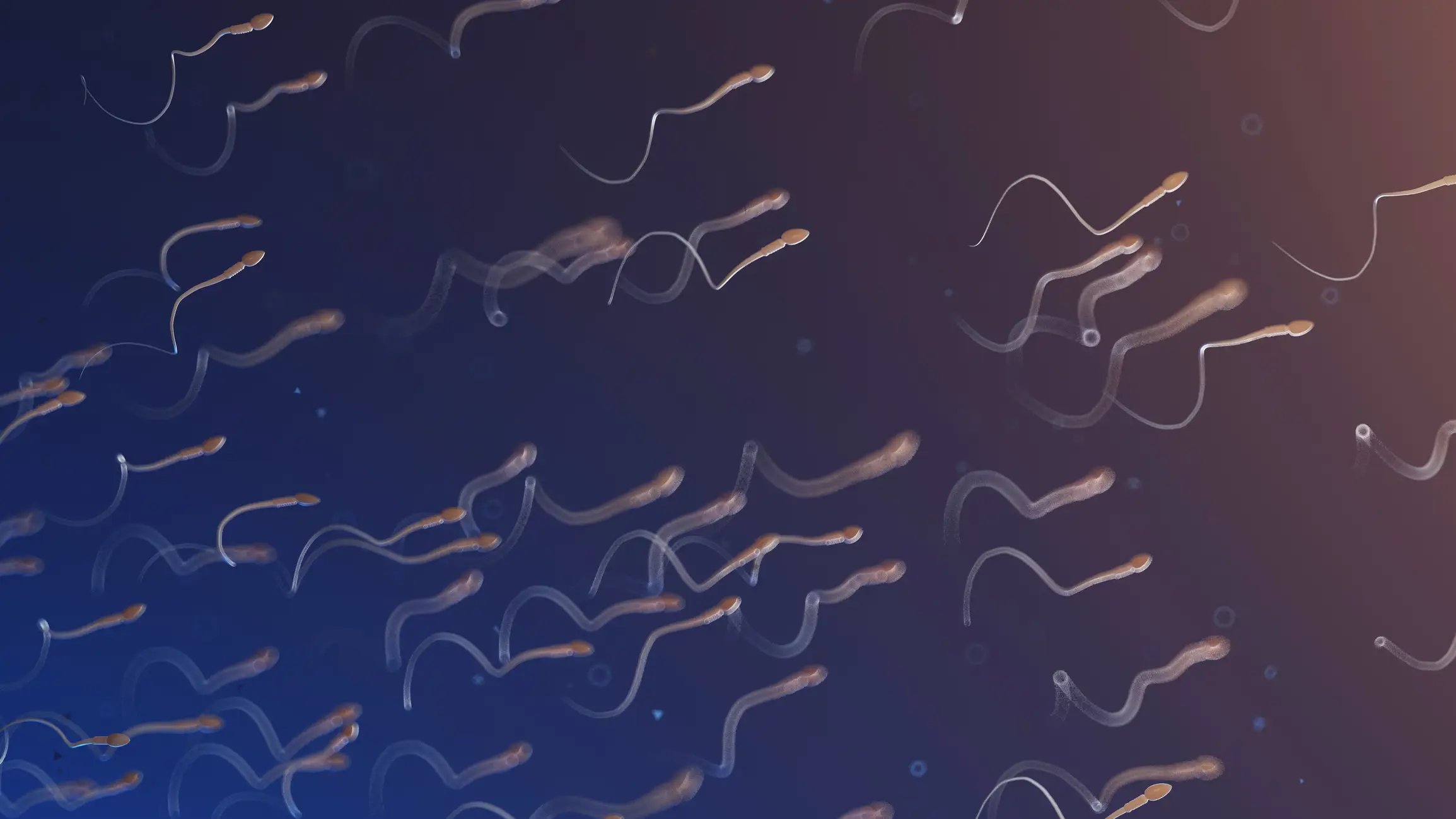 Numerous health conditions can prevent decent sperm quality (Getty stock images)