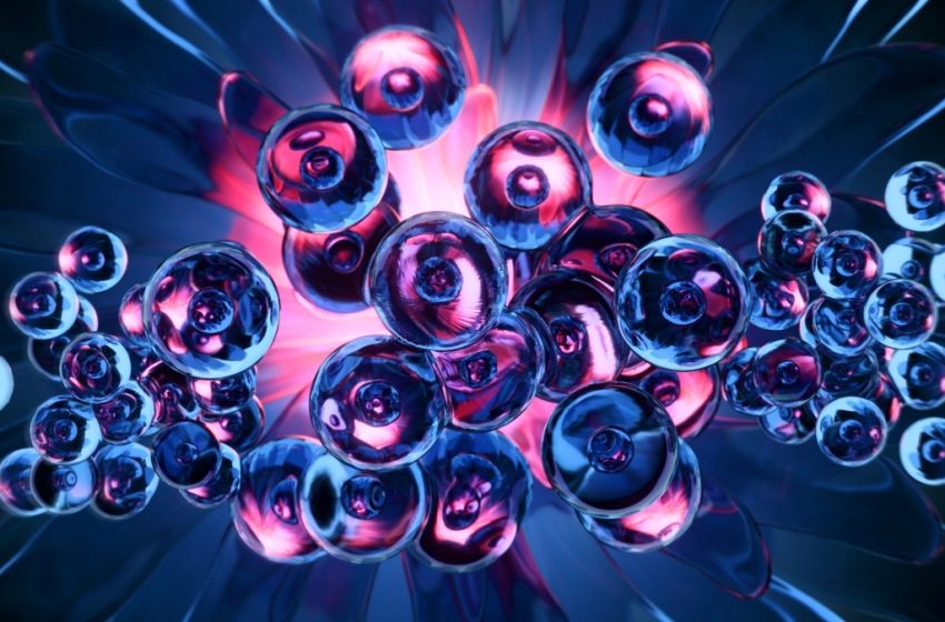  Stem Cell Treatments For Parkinson’s And Heart Failure Approved in World First : ScienceAlert