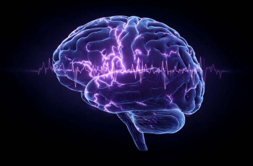  The Awake “Sleep” Loop: Why Attention Lapses Occur in ADHD