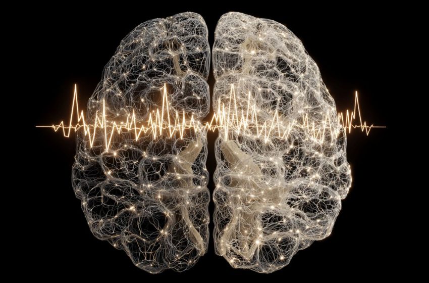  AI Links Brain Rhythms to Physical “Wiring” Across Lifespan