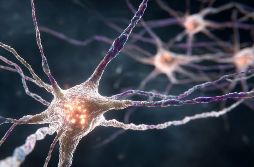  Parkinson’s Protein Turbocharges Alzheimer’s in Women