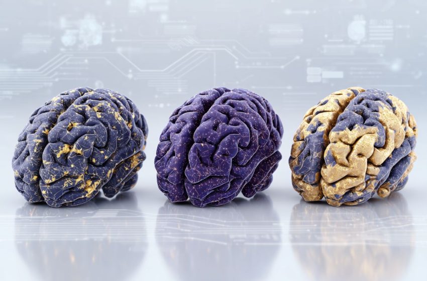  Diverse Biological Roots of Alzheimer’s Revealed