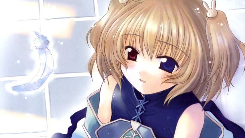  VNDB Founder Yorhel Passes Away, Preservation Efforts Underway