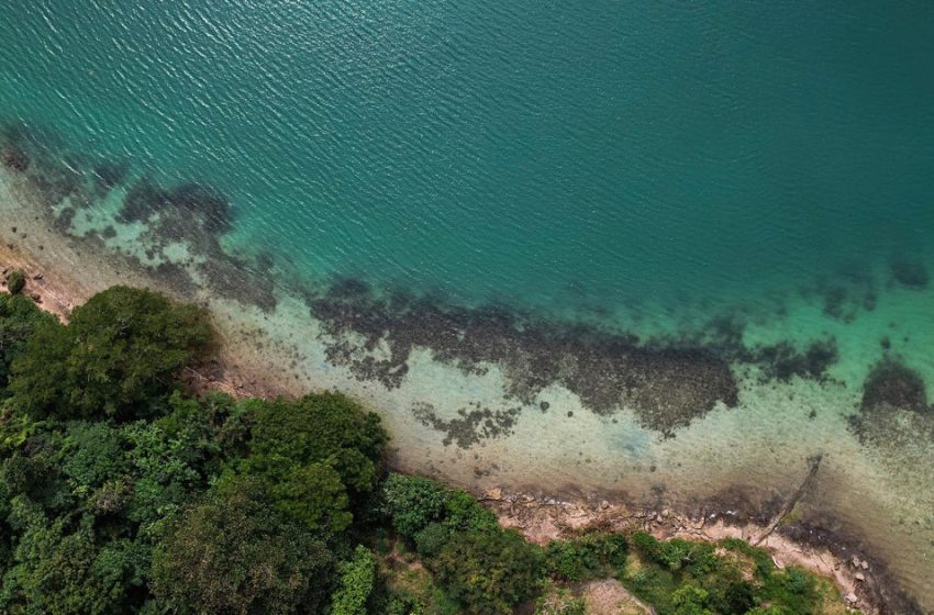  Sea levels much higher than previously thought due to “methodological blind spot,” study finds