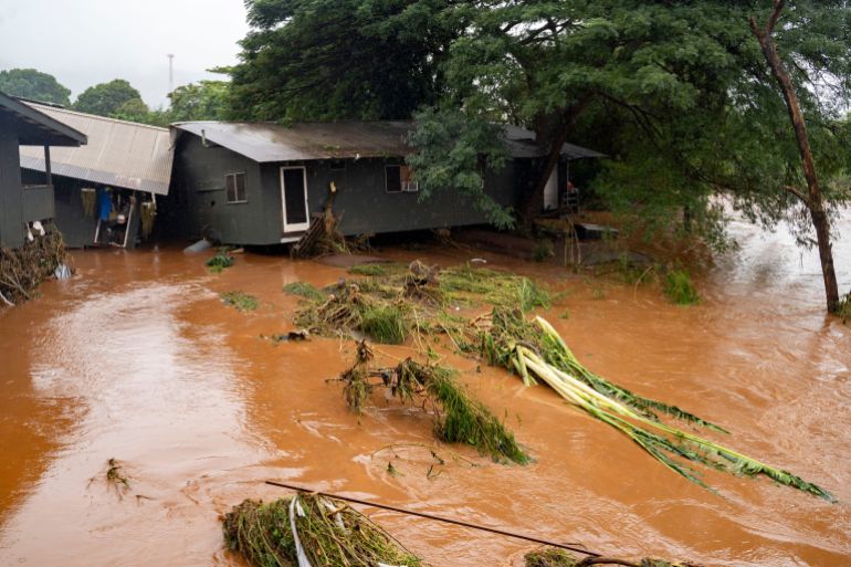 A view of a storm-damaged home near floating felled branches in flood waters caused by severe rains in Waialua, Hawaii, Friday, March 20, 2026. (AP Photo/Mengshin Lin)