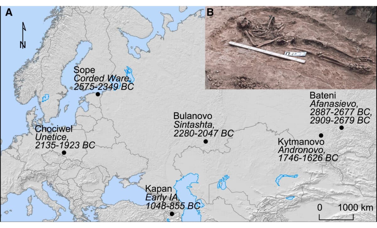 Archaeological Sites Of Bronze Age Yersinia Pestis