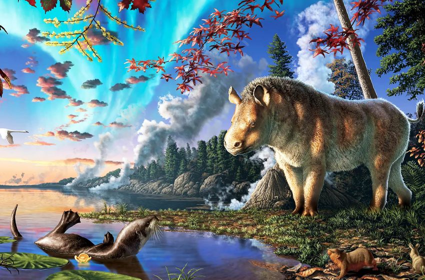  23-million-year-old ‘frosty rhino’ discovered in the High Arctic