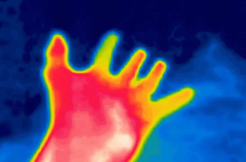  The Silent Killer Hidden in Plain Sight, And Your Hand Holds the Clue