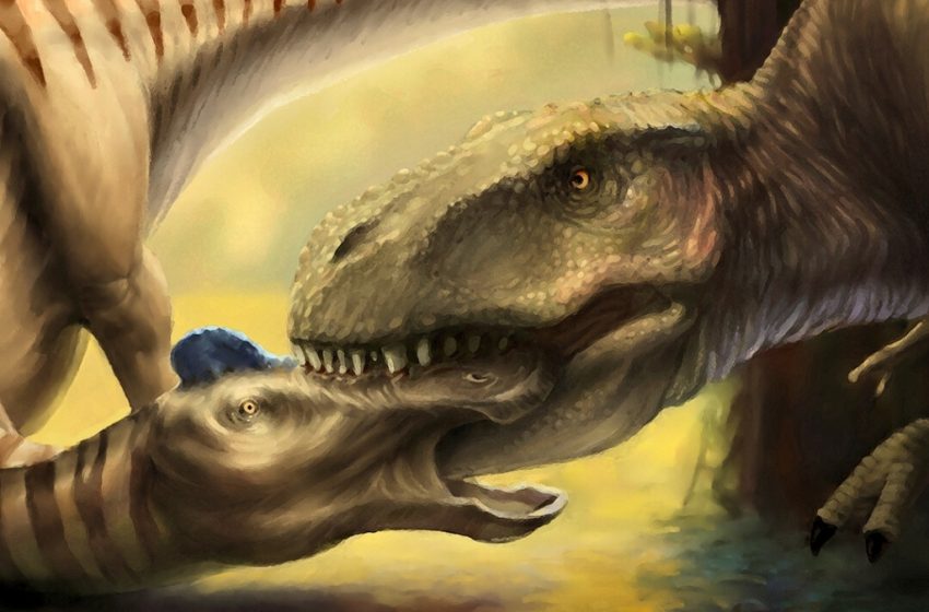  Scientists Found a T. Rex Tooth Embedded in Another Dinosaur’s Skull : ScienceAlert