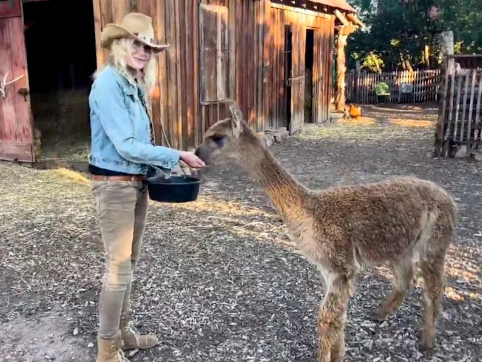 Daryl Hannah showcases her Colorado ranch on Instagram