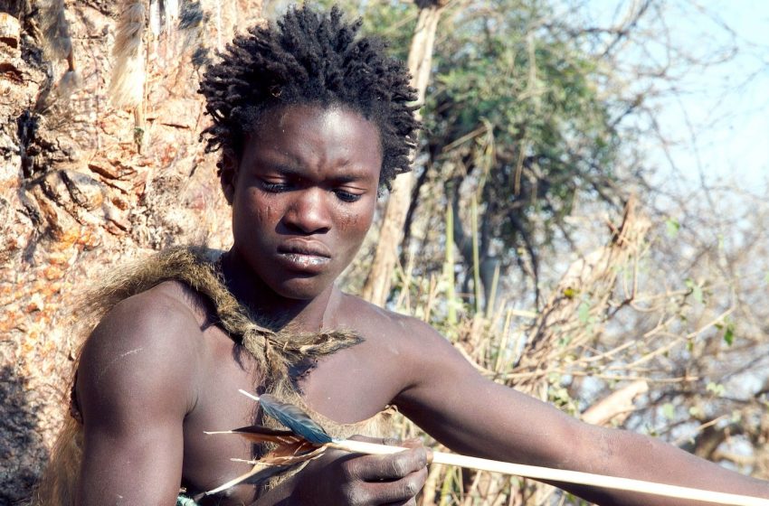  ‘That’s why there’s 9 billion of us and not 9 billion of some other primate’: Why our ability to adapt is humanity’s ‘superpower’