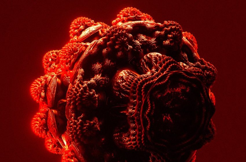  Bacteria Engineered to Eat Tumors From the Inside