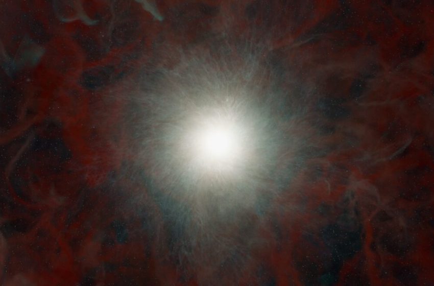  Research roundup: Six cool science stories we almost missed