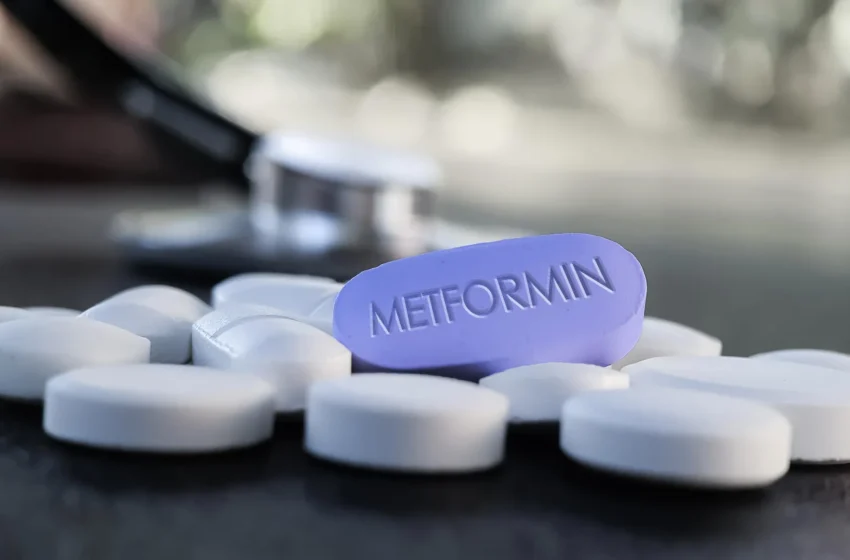 Metformin’s hidden brain pathway revealed after 60 years