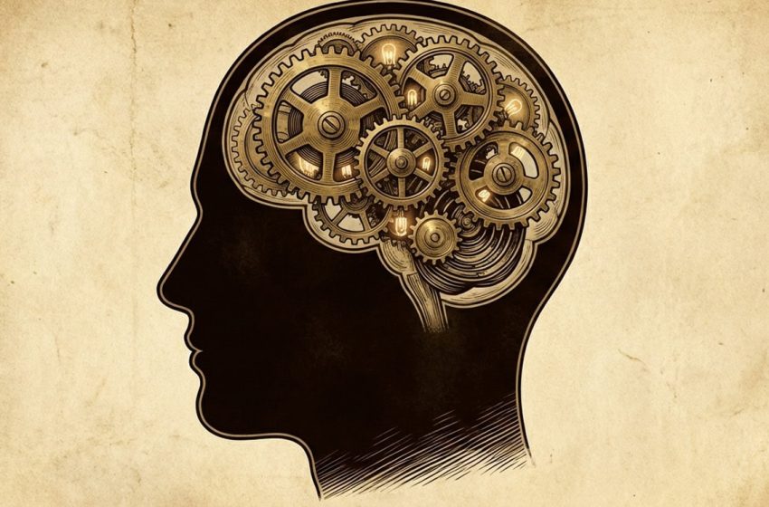  New psychology research reveals that wisdom acts as a moral compass for creative thinking