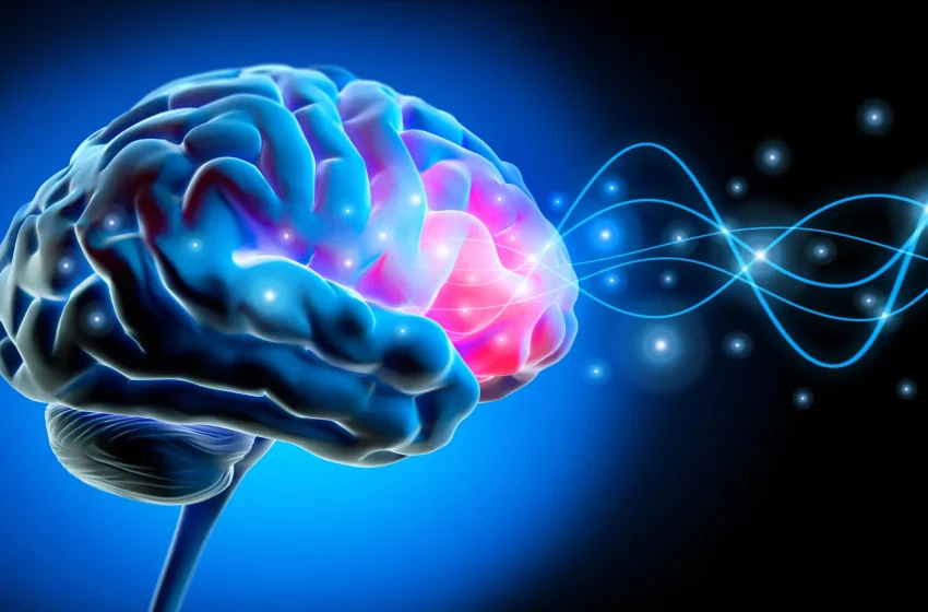  ADHD brains show sleep-like activity even while awake