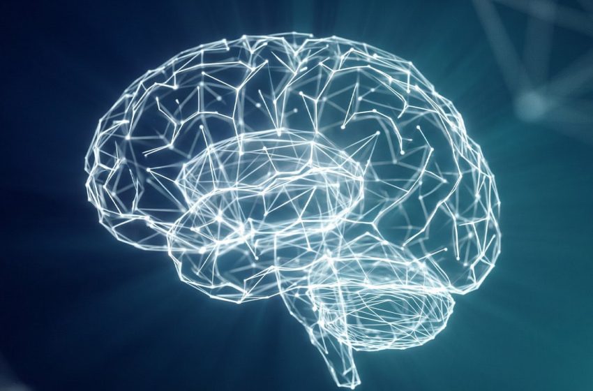  Brain scans of Buddhist monks reveal how different meditation styles alter consciousness