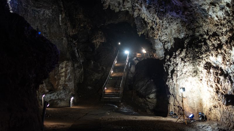  Who was Little Foot? Researchers digitally reconstruct the face of our early ancestor