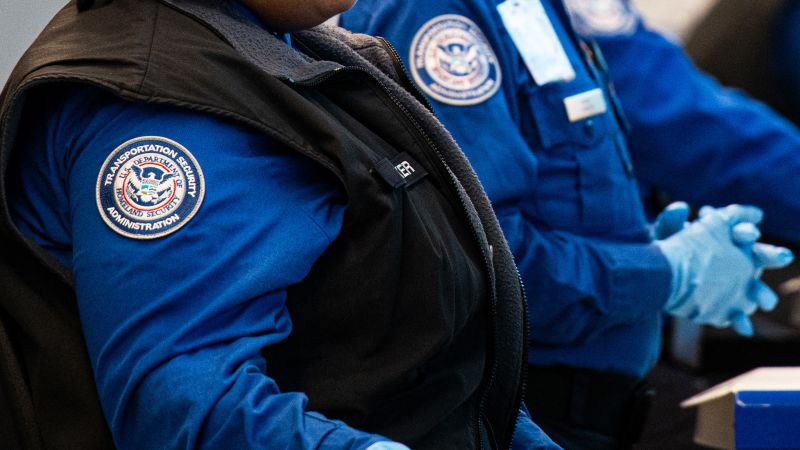  More airport disruptions expected as TSA agents quit amid partial government shutdown