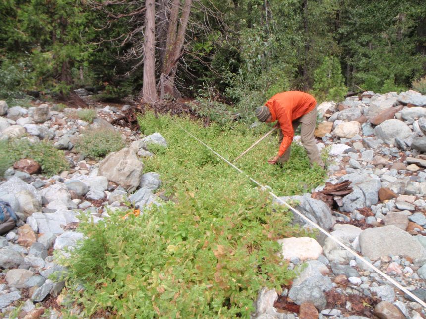 A researcher works on one of the sites sampled for the study.