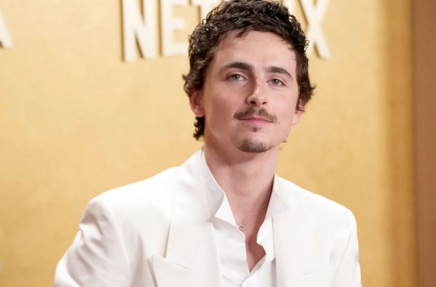  Ballet Dancers, Opera Singers Are Mad at Timothée Chalamet