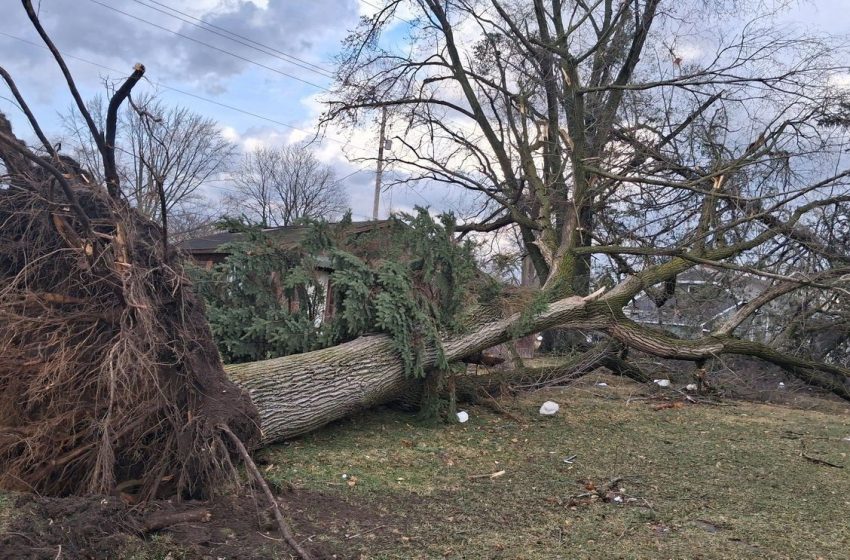 Severe weather in SW MI prompts State Emergency Operations Center activation
