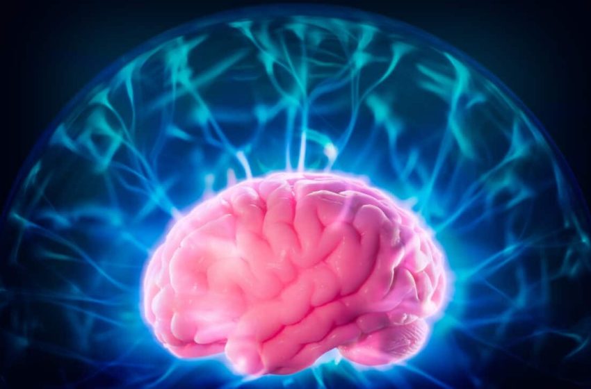  Scientists Say Light Particles Traveling Through Brain Tissue Could Be Carrying Consciousness