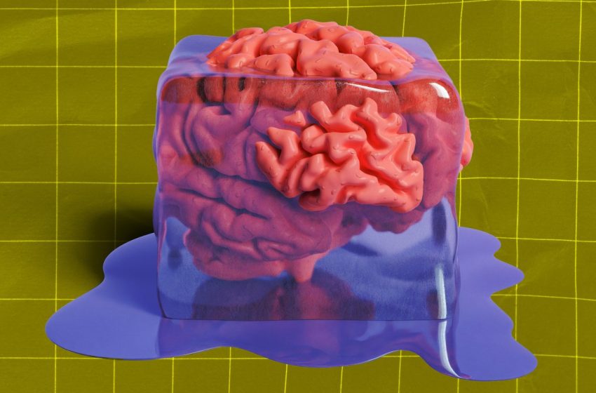  Scientist Thawing Out Fragments of His Friend’s Cryogenically Preserved Brain