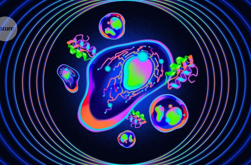  Why ‘quantum proteins’ could be the next big thing in biology