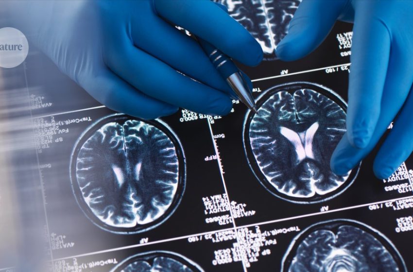  How bioRxiv changed the way biologists share ideas – in numbers