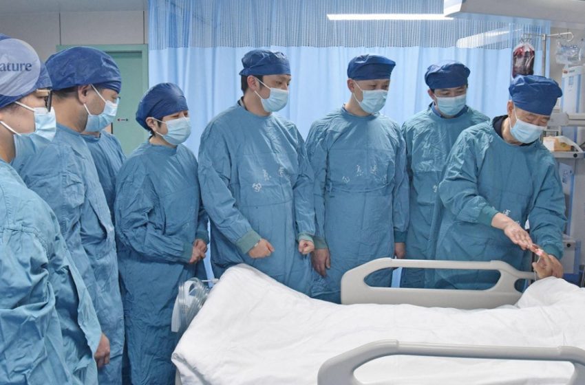  Genetically modified pig liver keeps man alive until human organ transplant