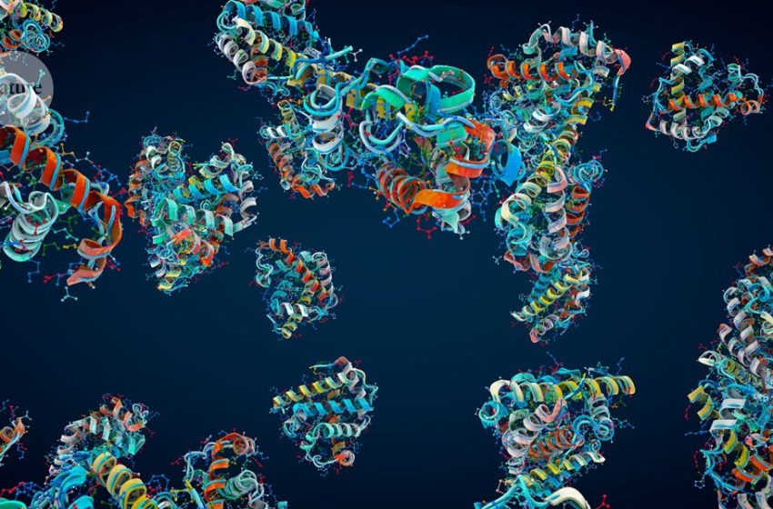 How fast does a protein fold? Real-time technique captures the moment