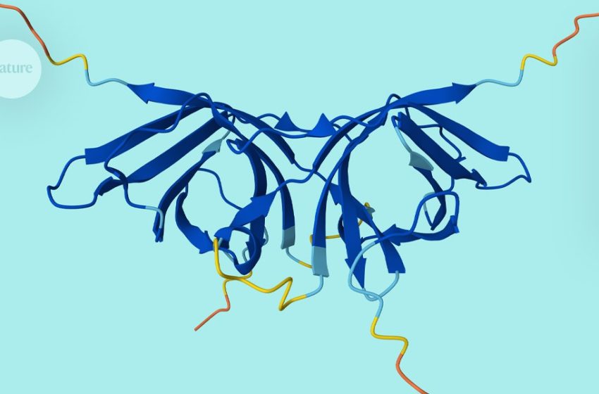  the AI database now includes protein pairing