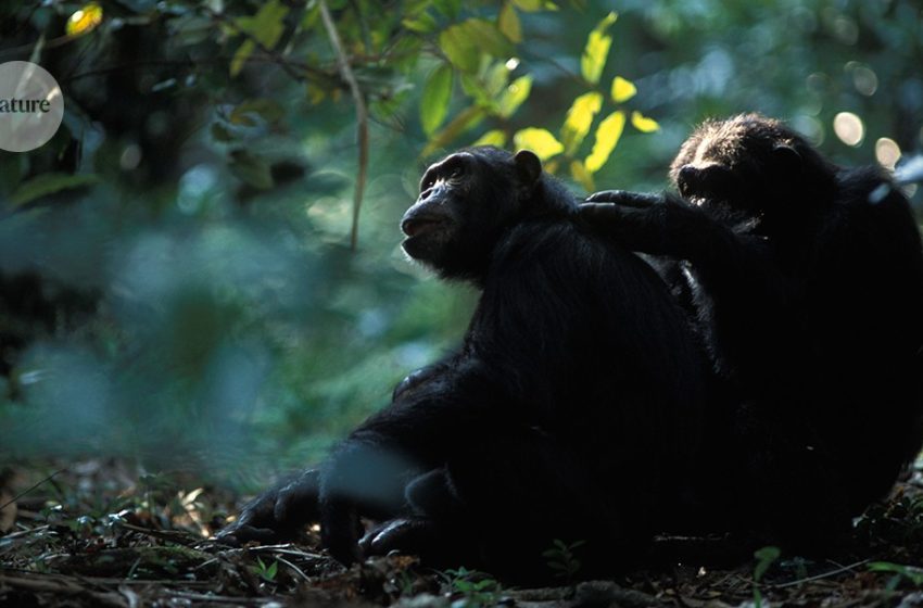  Forty-five years of progress after a key paper about the evolution of cooperation